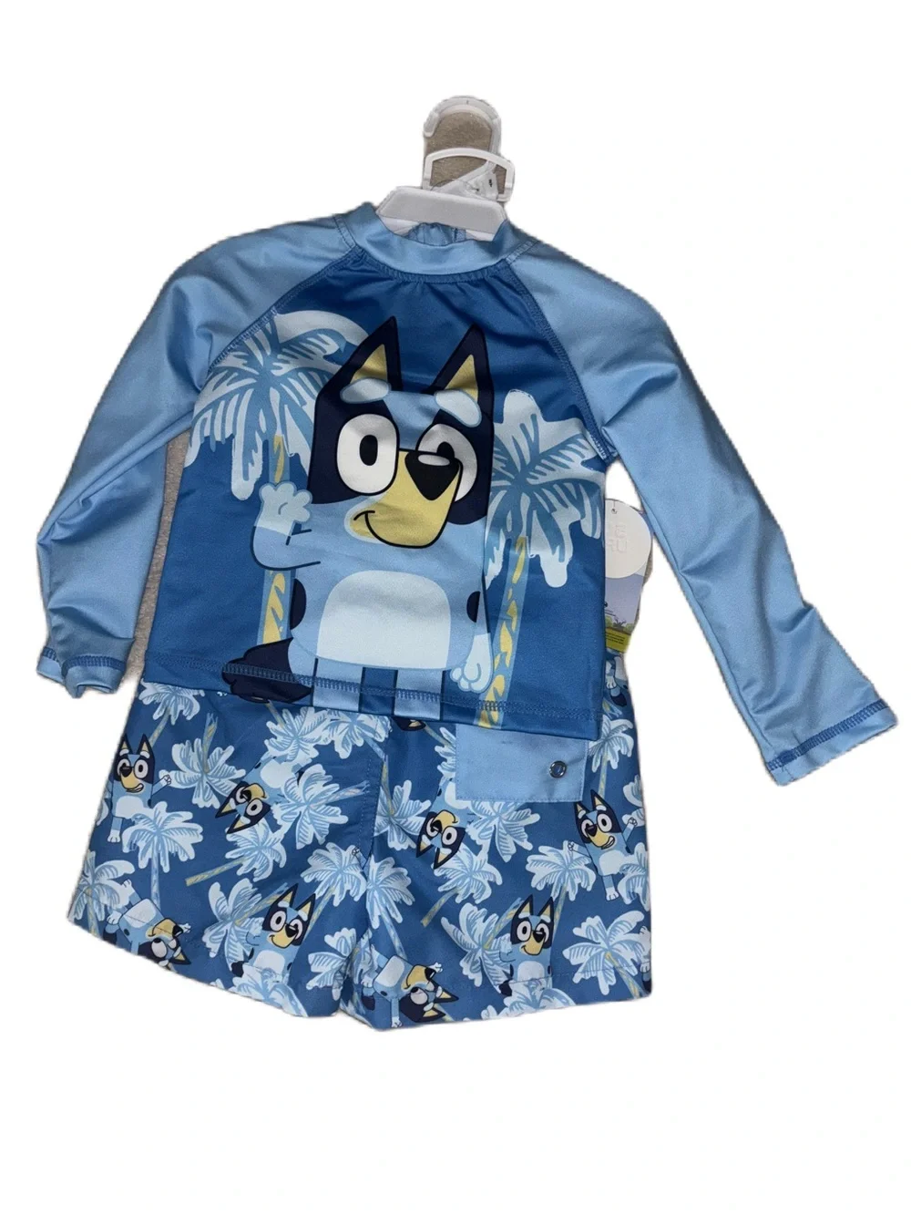 Bluey Boys Kids Rash Guard Set 2 pc Long sleeve Shirt & Swim Trunks Bathing Suit